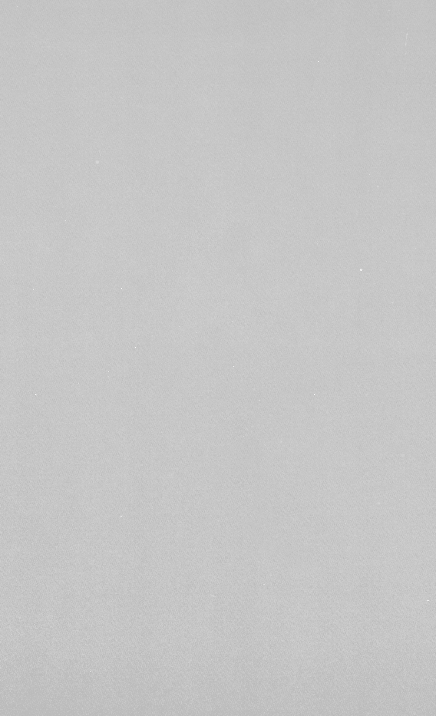 Noise overlay
